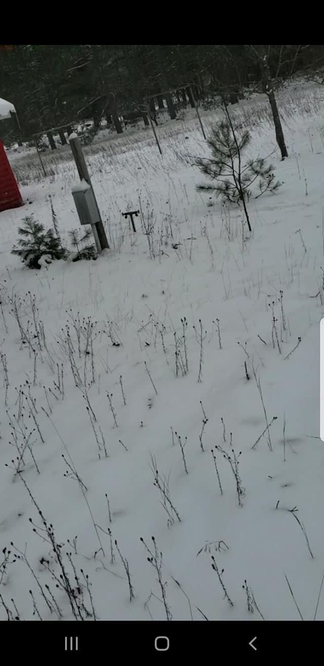The abandoned campground hookup box emerging from the snow