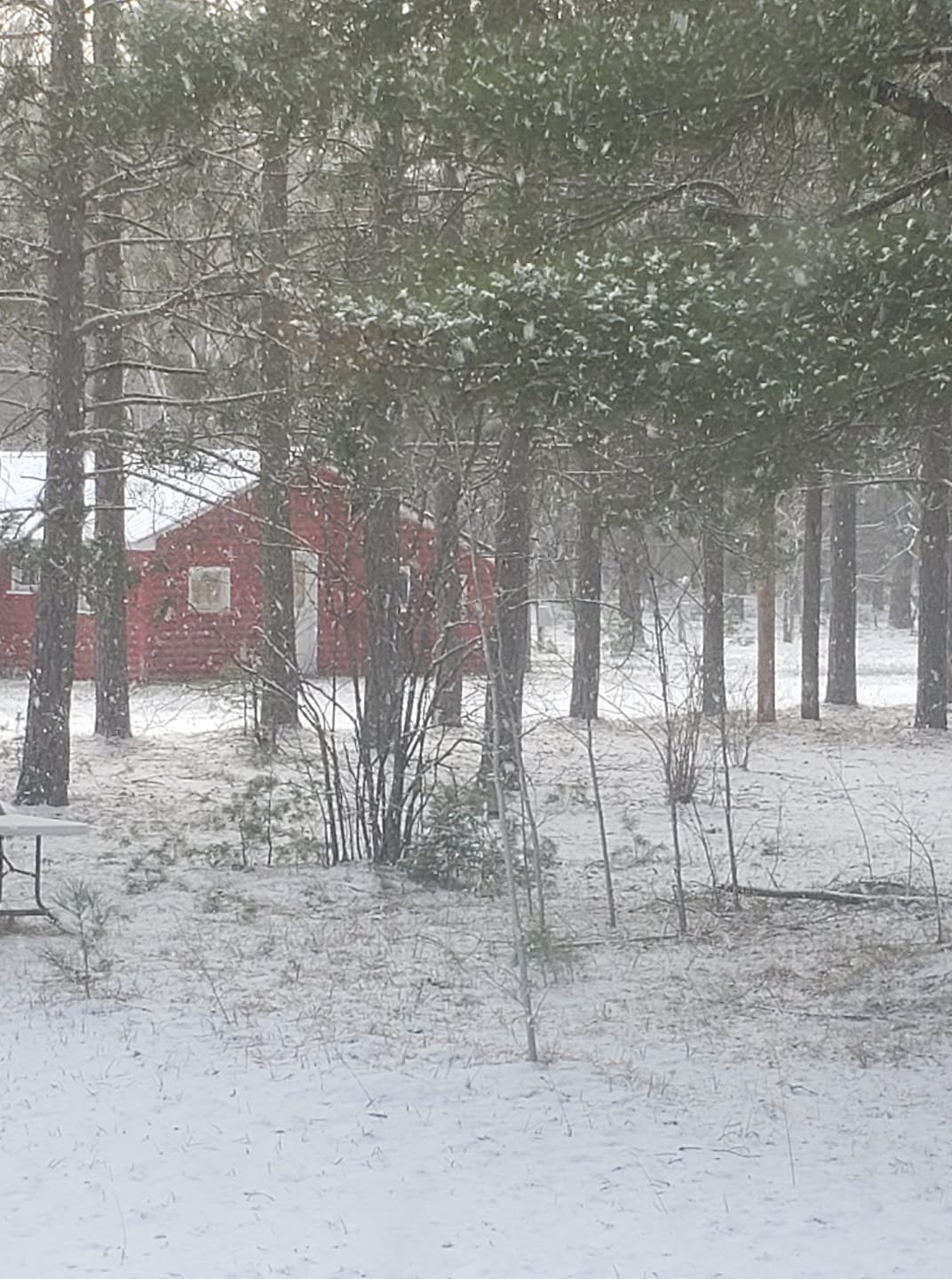 The red bathhouse through snow-covered pines